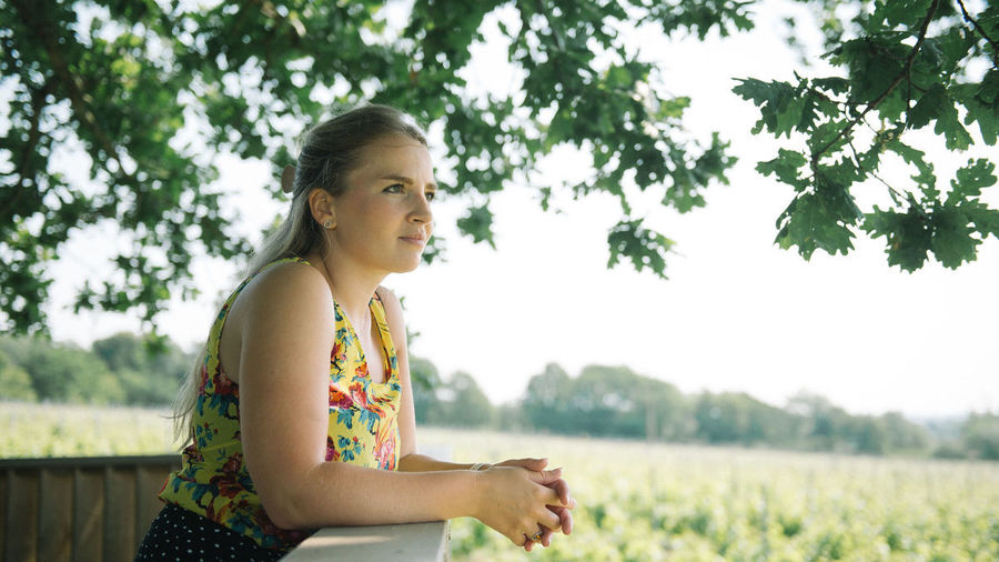 Mary Bridges vineyard