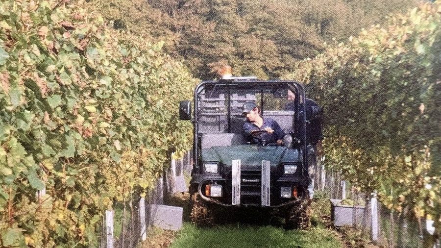 Harvest Butness
