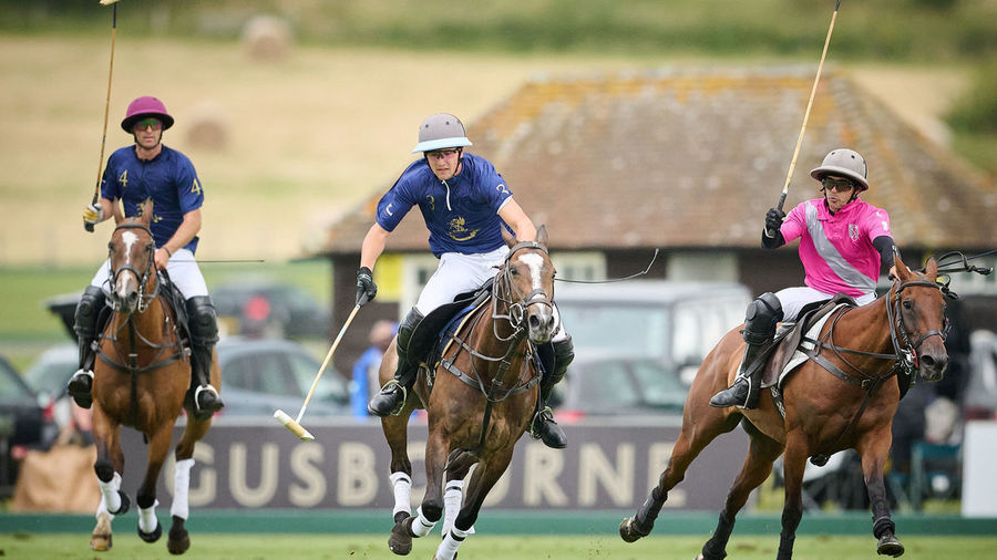 Cowdrap Polo